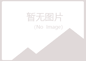 鹤岗南山冬云金属有限公司